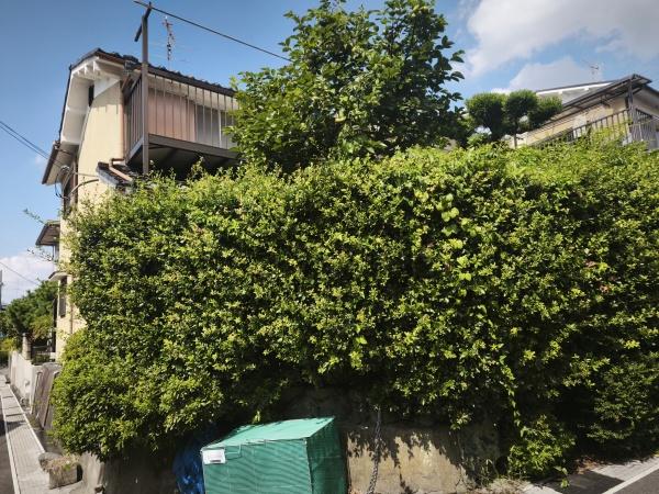 宇治市広野町桐生谷　古家付売土地 現地写真