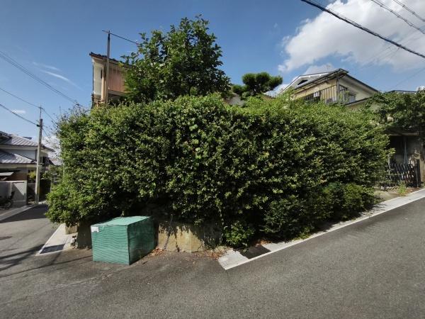 宇治市広野町桐生谷　古家付売土地 現地写真