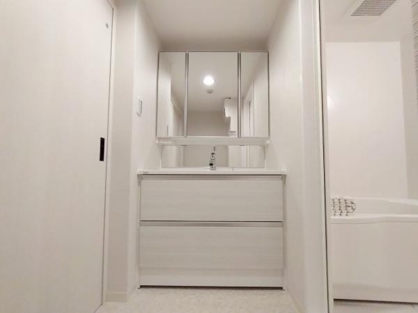 メイツ北野田 内観写真（洗面台・洗面所）