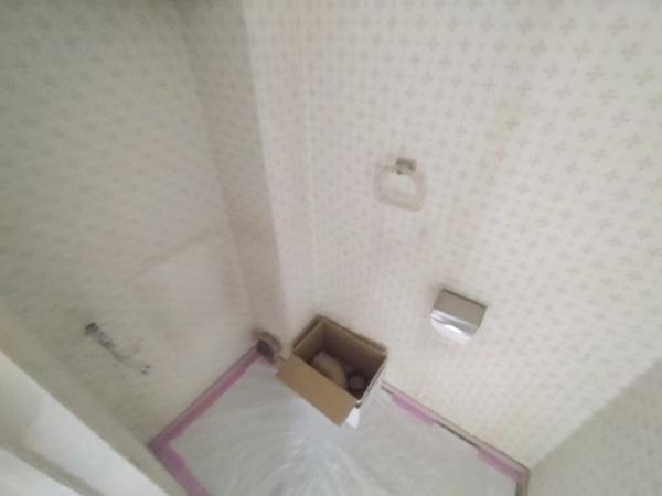 ユアサハイム新高 内観写真（トイレ）