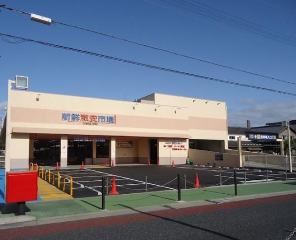 ディオ・フェルティ丹波橋右芳館 スーパー