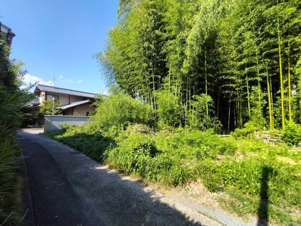 京都市右京区嵯峨釈迦堂門前南中院町　建築条件無売土地 現地写真（前面道路含む現地写真）