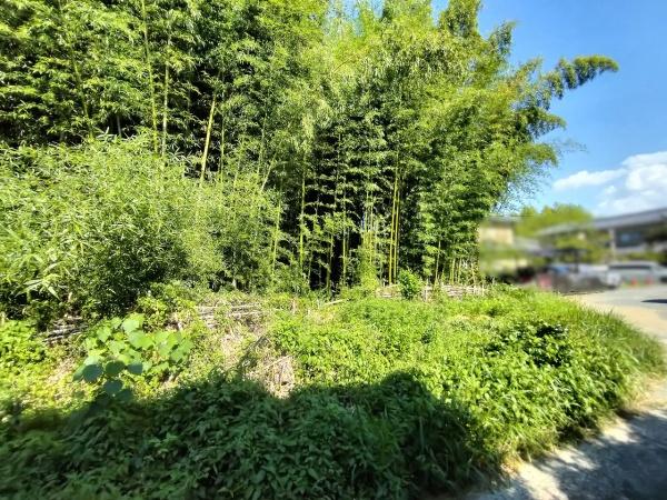 京都市右京区嵯峨釈迦堂門前南中院町　建築条件無売土地 現地写真