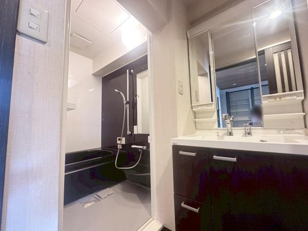 東部コーポ住宅1号棟 内観写真（洗面台・洗面所）