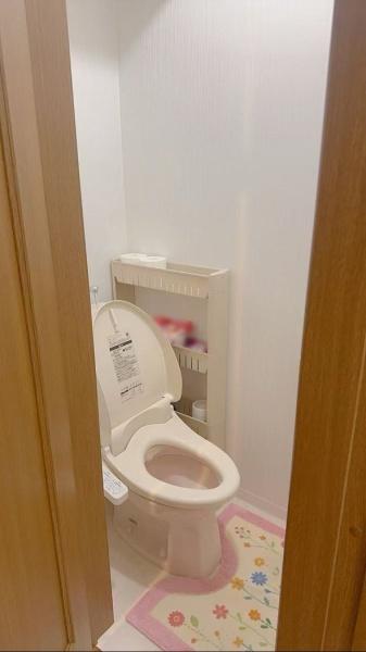 大阪市平野区平野東1丁目　中古戸建 内観写真（トイレ）