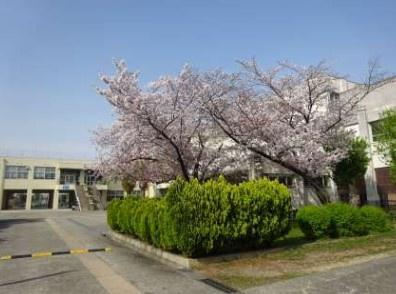 ディーレスティア堺・光明池 中学校