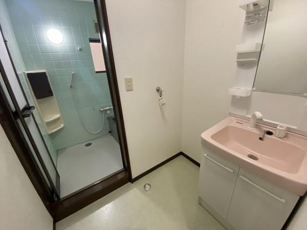 羽曳野市駒ヶ谷　中古戸建 内観写真（洗面台・洗面所）