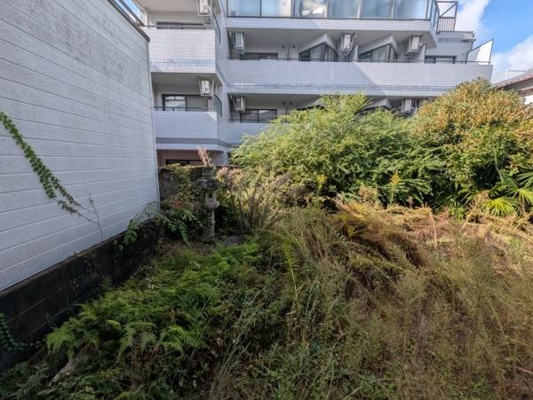 京都市上京区柳風呂町 現地写真（庭）