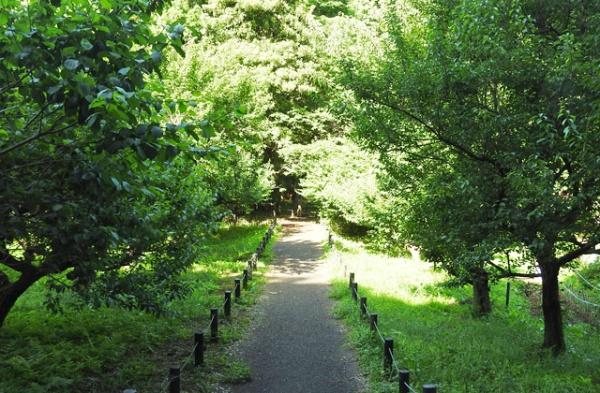 堺市西区浜寺船尾町西2丁　新築戸建 公園