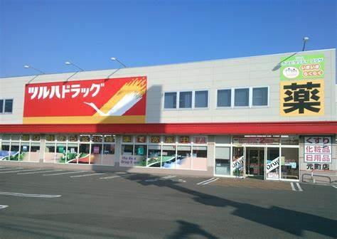 大阪市西淀川区姫里3丁目　中古戸建 ドラッグストア