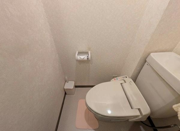 藤和シティホームズ四条 内観写真（トイレ）
