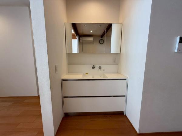 京都市北区紫竹上芝本町　中古戸建 内観写真（洗面台・洗面所）