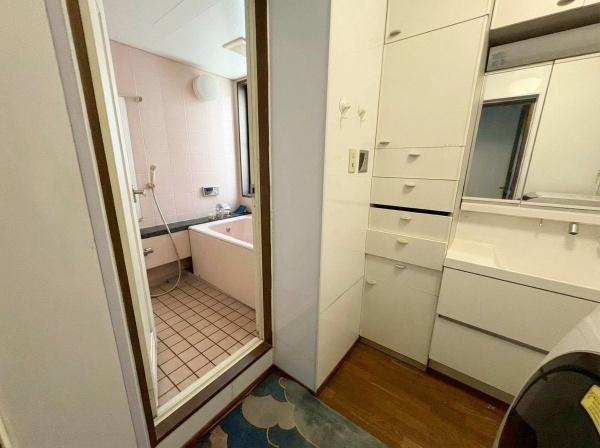 大阪市住吉区南住吉3丁目　中古戸建 内観写真（洗面台・洗面所）
