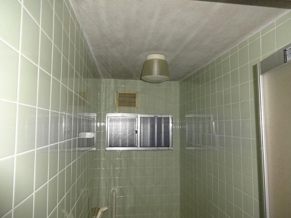 尼崎市崇徳院3丁目　中古テラス 内観写真（浴室）