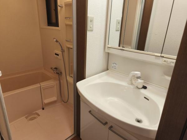 京都市南区西九条大国町　中古戸建 内観写真（洗面台・洗面所）