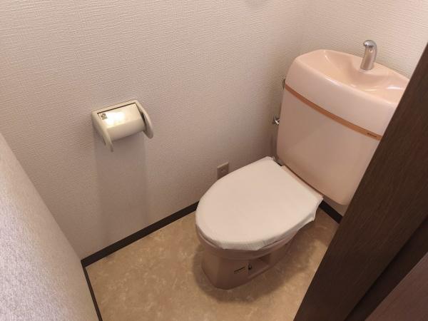 京都市南区西九条大国町　中古戸建 内観写真（トイレ）