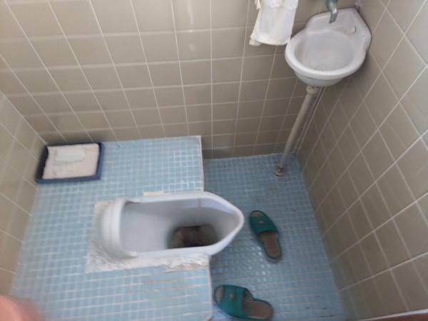 宇治市木幡南山　中古戸建 内観写真（トイレ）