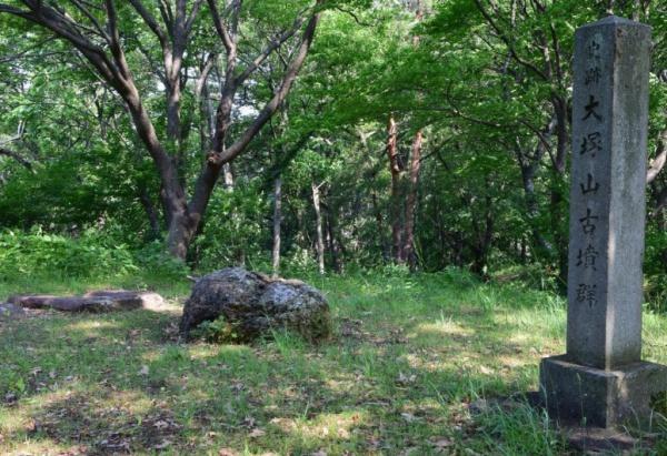 河内松原団地A2号棟 その他