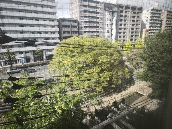キャピタルコータス堀川 眺望写真