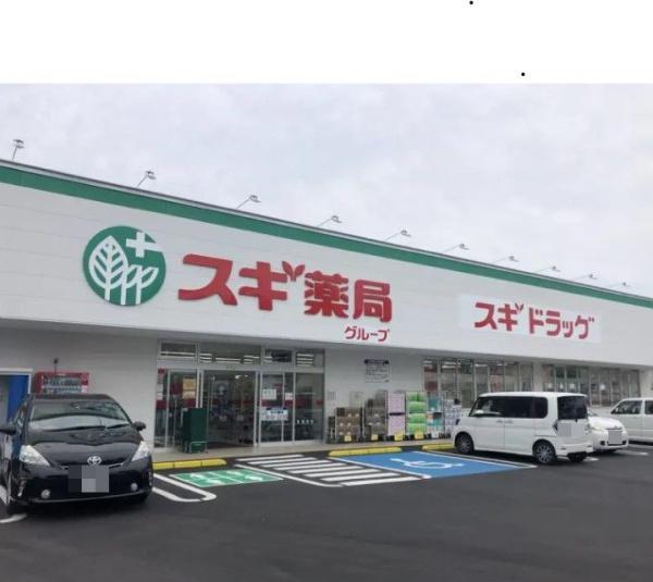 堺市南区若松台3丁　中古戸建 ドラッグストア