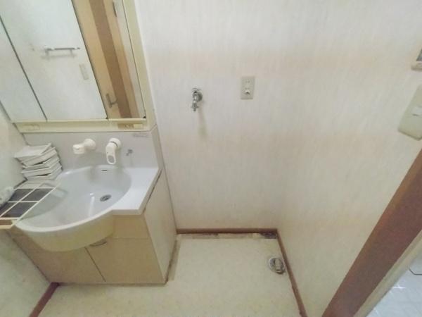 大阪市東淀川区井高野４丁目　中古戸建 内観写真（洗面台・洗面所）