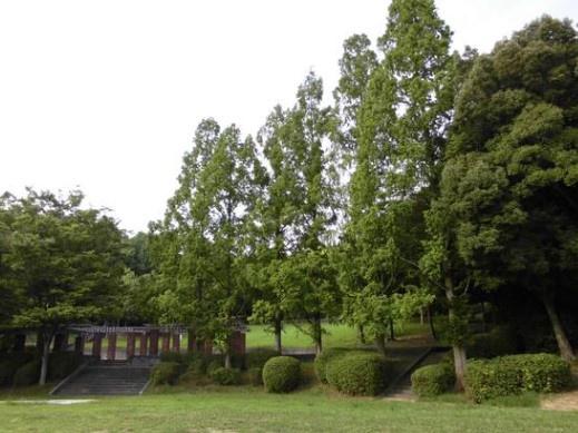 ローレルコート泉ヶ丘 公園