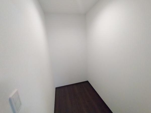 大阪市此花区酉島6丁目　新築戸建 内観写真（収納）