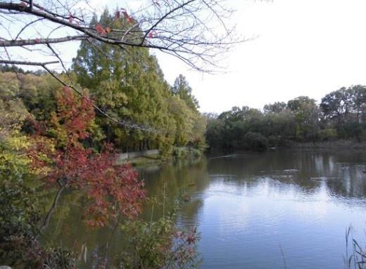 狭山住宅第七号棟 公園