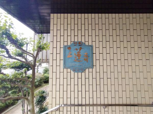 サン正蓮寺リバーハイツ 共用部写真（エントランス）
