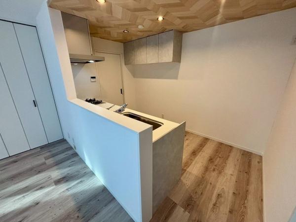大阪市住之江区西加賀屋3丁目　新築戸建 内観写真（キッチン）