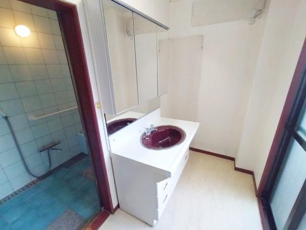 大阪市鶴見区今津北5丁目　中古戸建 内観写真（洗面台・洗面所）