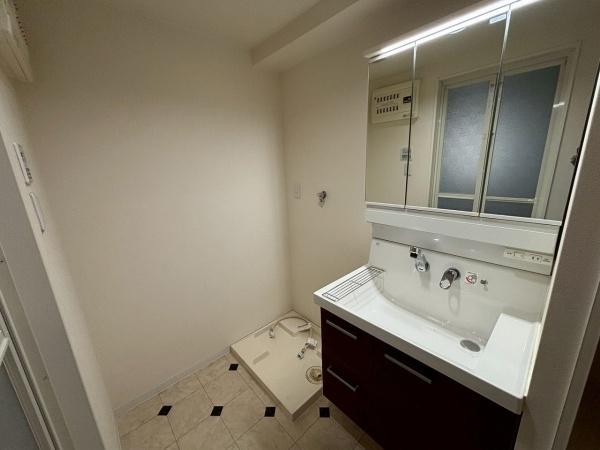 グランドシーズ住之江 内観写真（洗面台・洗面所）