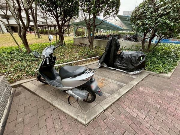 エバーグリーンポートタウン12号棟 共用部写真（その他）