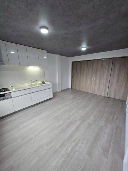 大阪市淀川区加島1丁目　中古戸建 内観写真（キッチン）
