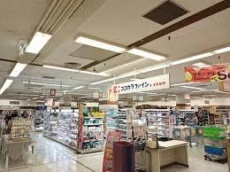 河内長野市喜多町　中古戸建 ドラッグストア