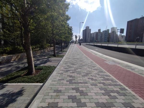 シエリアタワー大阪堀江 現地写真（その他）
