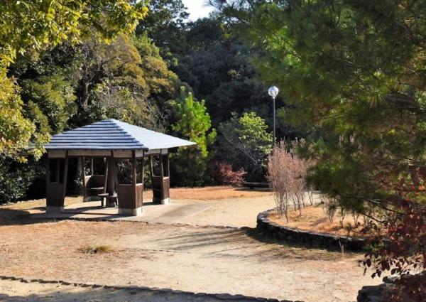 コスモ紫野 公園