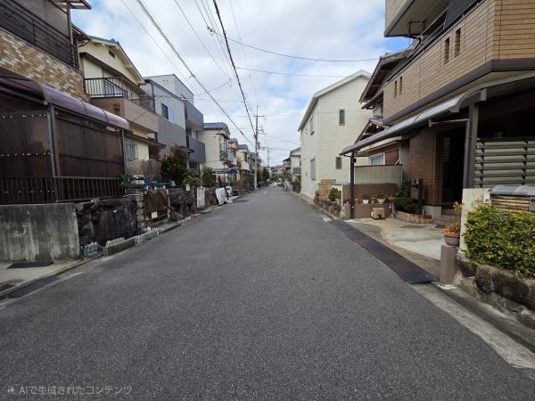 堺市東区南野田　中古戸建 現地写真（前面道路含む現地写真）