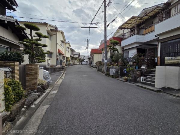 堺市東区南野田　中古戸建 現地写真（前面道路含む現地写真）