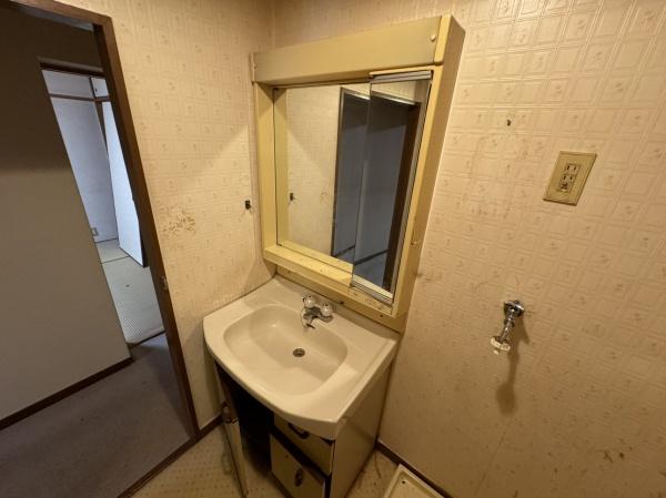 グリーンタウン東香里マンションB棟 内観写真（洗面台・洗面所）
