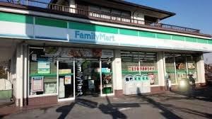 グリーンタウン東香里マンションB棟 コンビニ