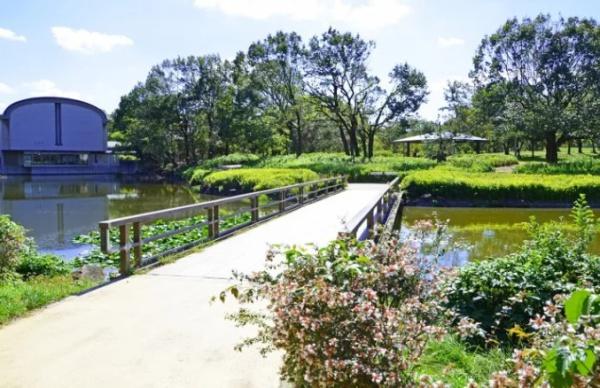 鴨谷台第一次住宅15号棟 公園