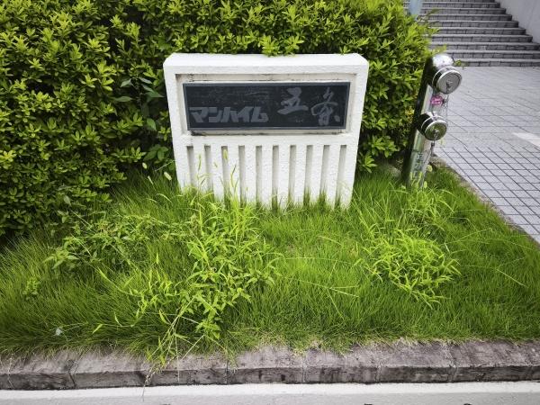 マンハイム五条 現地写真（その他）