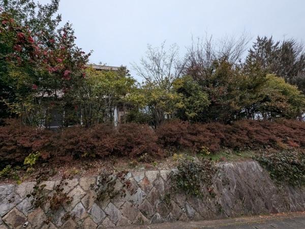 京都市北区大宮玄琢北東町　古家付売土地 現地写真