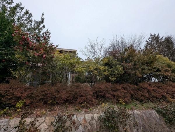 京都市北区大宮玄琢北東町　古家付売土地 現地写真