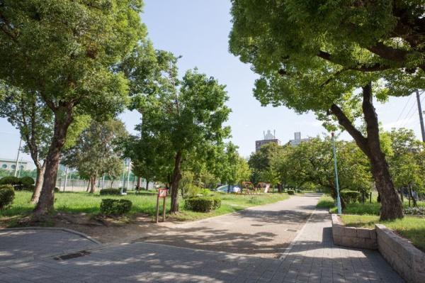 大阪府大阪市天王寺区空清町 公園