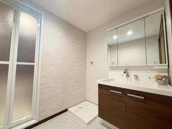 大阪市東住吉区鷹合2丁目　中古戸建 内観写真（洗面台・洗面所）