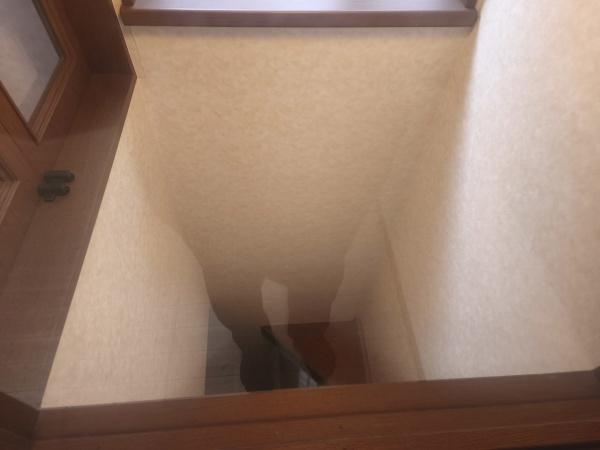 京都市右京区西京極東町　中古戸建 内観写真（その他）