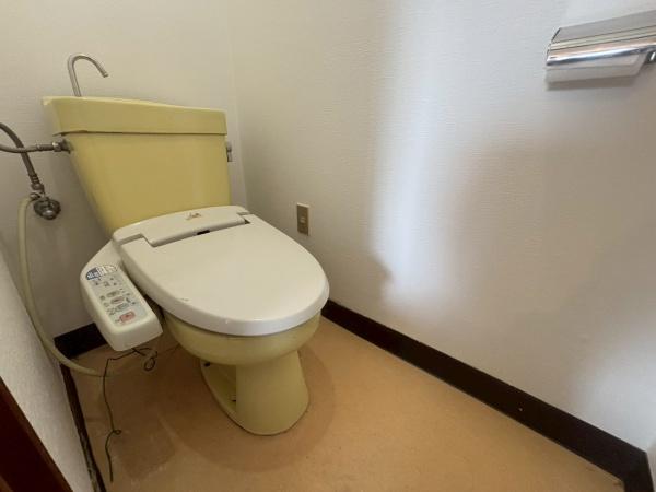 大阪市生野区桃谷3丁目　中古戸建 内観写真（トイレ）
