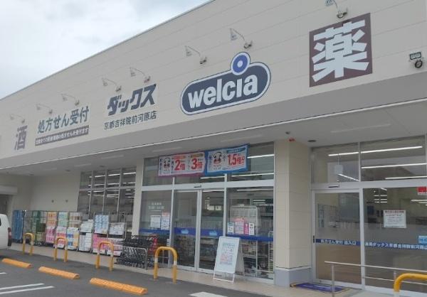 プレサンスロジェ京都西大路 ドラッグストア